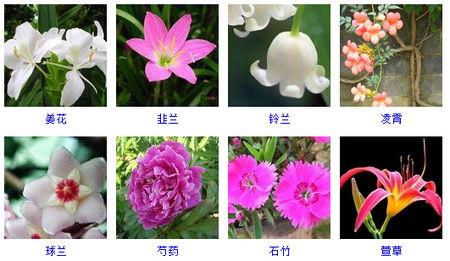 五月都开什么花?