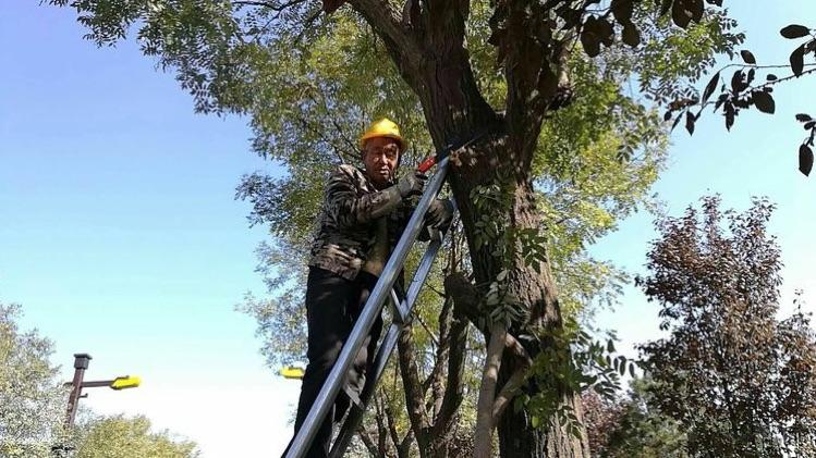 司马迁祠景区11.24工作动态