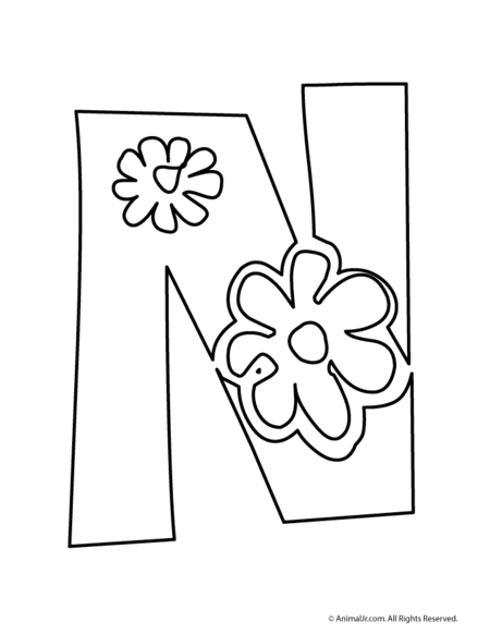 花体字的n怎么写啊?