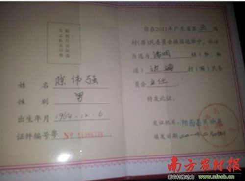 陈伟强去年二月份当选村主任.