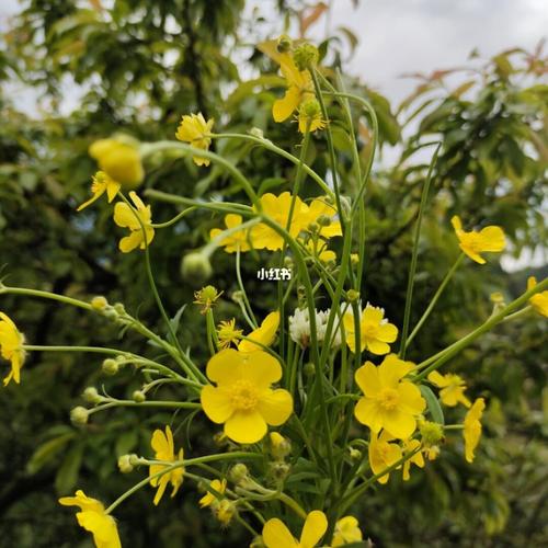 美好生活如期而至._鸡汤_励志_情感_励志鸡汤