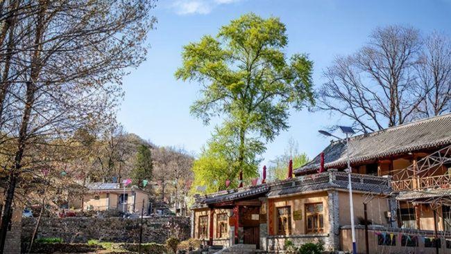 网易首页>网易号>正文申请入驻> 阜平县城南庄镇花山村,1948年毛泽东