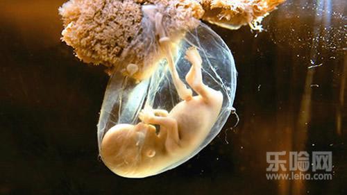 胎儿是在羊水中泡着吗 真的很神奇