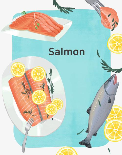 美味三文鱼切片插画