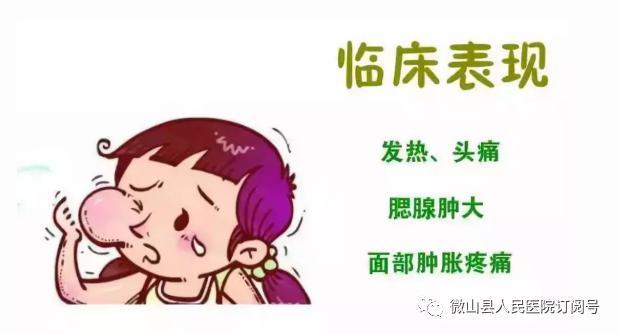 健康科普——流行性腮腺炎