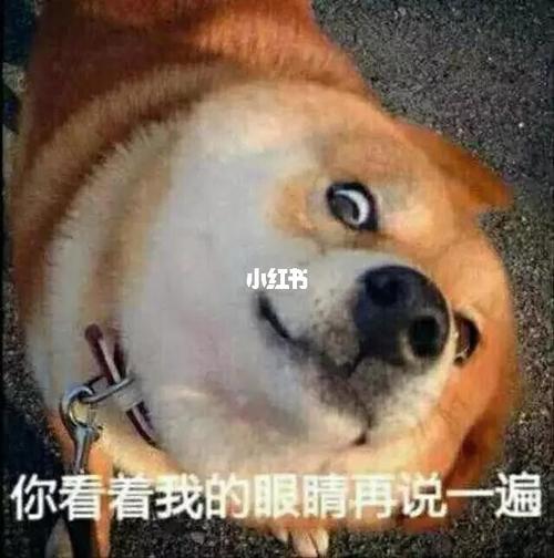 好凶好凶的表情包_表情包_表情包分享_素材_表情包