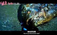 《人面鱼红衣小女孩外传》-高清电影-在线观看
