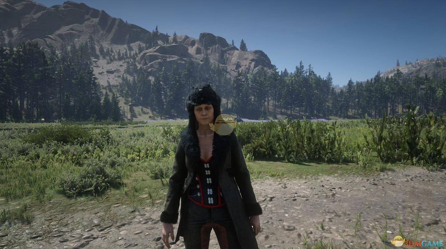 荒野大镖客2传说黑夜河狸及其服装外观一览