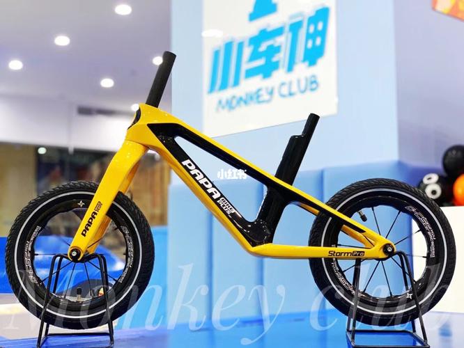 papa bike storm pro来袭~超帅!_保定骑二无比滑步车