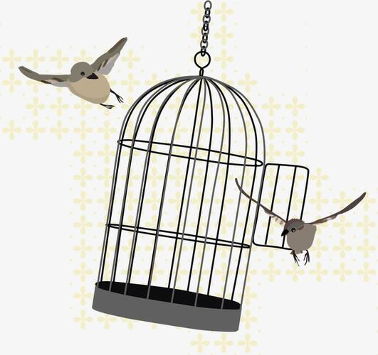 逃离鸟笼的鸟