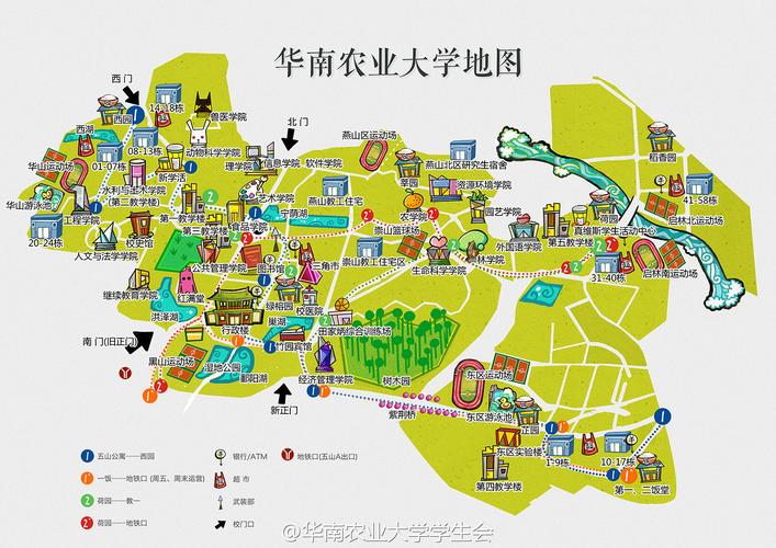华南农业大学动物医学院在华南农业大学那里
