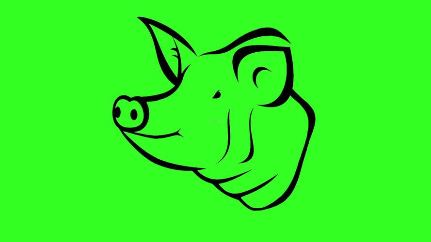 绿幕抠像版卡通猪头勾勒动画视频素材_1920x1080_高清
