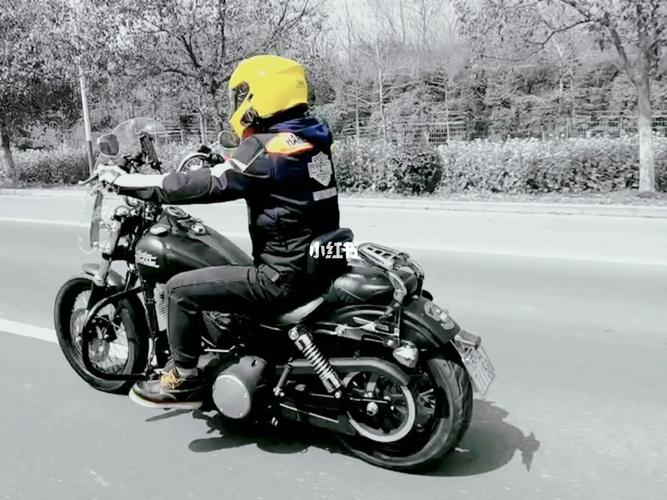 骑着戴娜街霸_哈雷街霸_汽车_摩托车