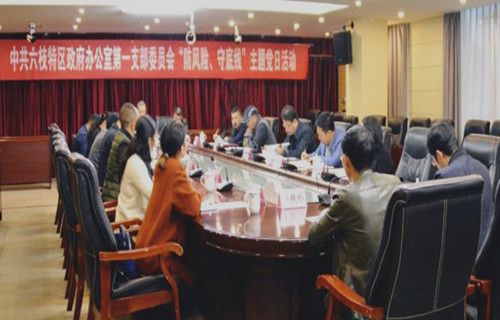 方裕谦参加中共六枝特区政府办公室第一支部委员会 "防风险,守底线"