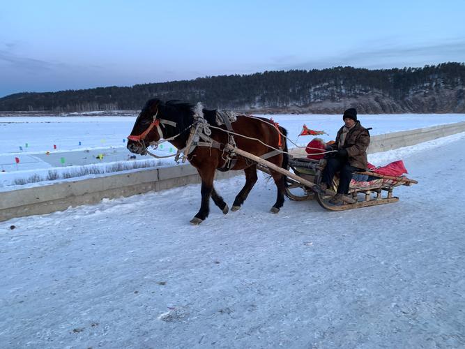 马拉爬犁也称马拉雪橇是冬季东北农村常见的交通工具.