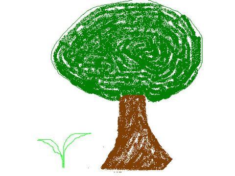 大树和小草阅读答案