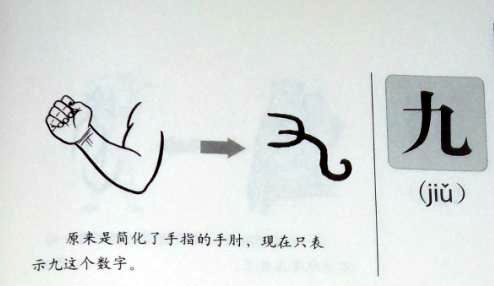 在甲骨文中,九字字形很像人的肘部.