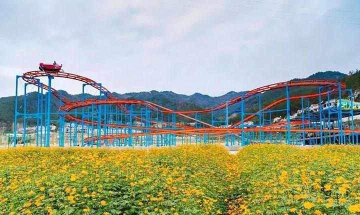高速-凤凰关隧道-蒙蒙山隧道-沪鄂高速出口-309县道-英山童玩谷生态园