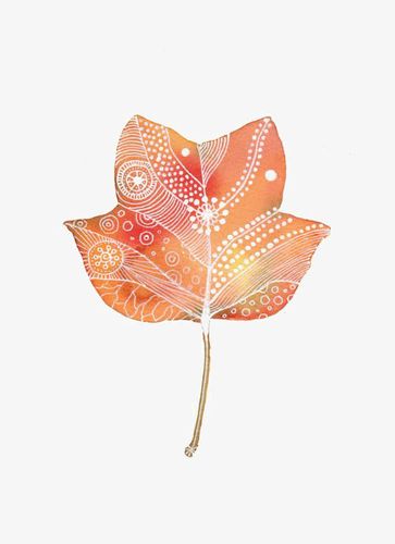 手绘枫叶,红色枫叶,创意枫叶,叶子,树叶,秋天