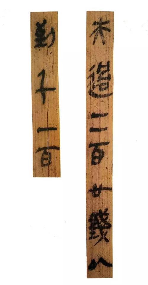 《云梦睡虎地秦简》