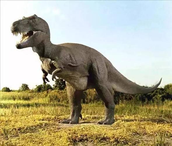 这里的恐龙展嗨爆了,胆小者慎入