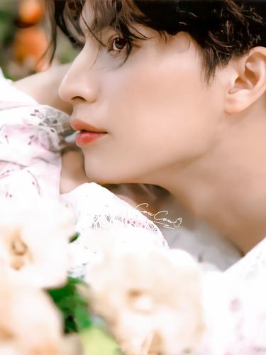 gulf 糕糕 糕卡娜