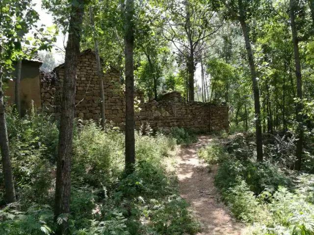 09 安丘市辉渠镇小麦峪村