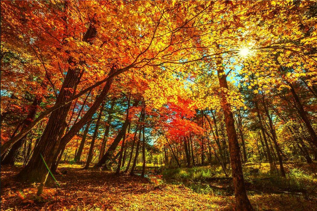 自大兴安岭到祁连山,直至北疆,遇见最原始惊艳的秋天!