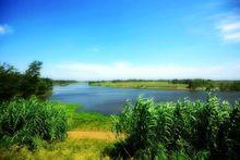 界首两湾湿地公园