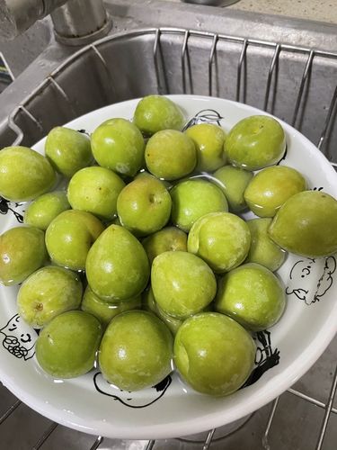 春季必备青梅子酒