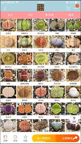 请大神看看这些生石花的品种