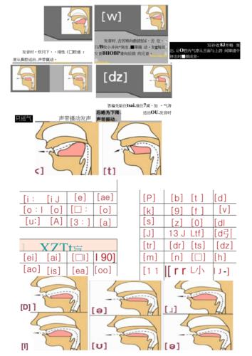 完整版英语发音口型及舌位图片docx4页
