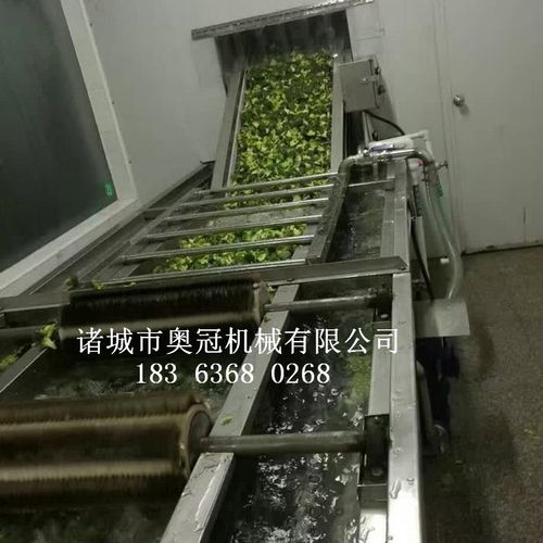 蒲公英茶加工设备洗中药材的清洗机厂家加工桑叶茶的机器