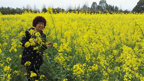 唐昌花田人家一日游