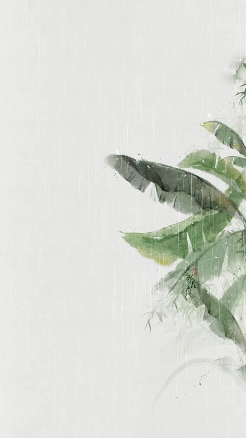 雨打芭蕉