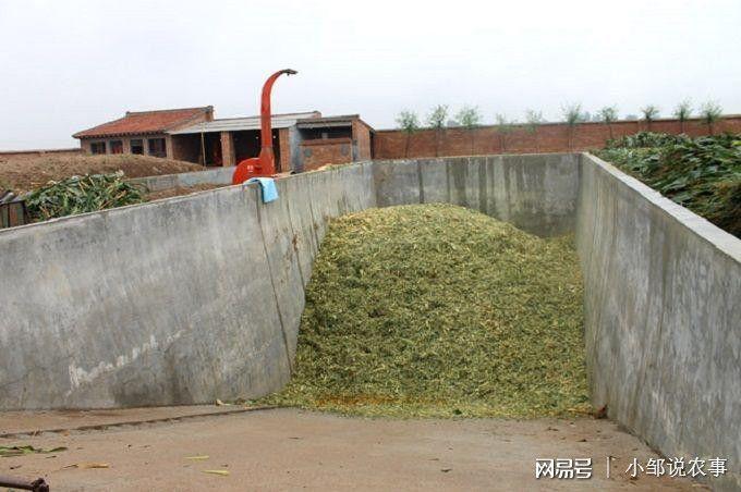 标准化养牛场必备的配套设施