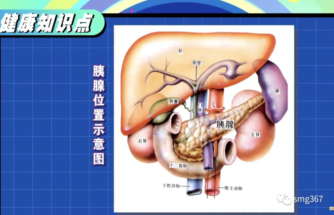 胰腺癌本身位置藏得比较深,没有明显症状,如何做到早期发现?
