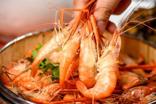 坐落西江边的河鲜私房菜270看江景日落食即捞即煮鲜味内含菜品免费送