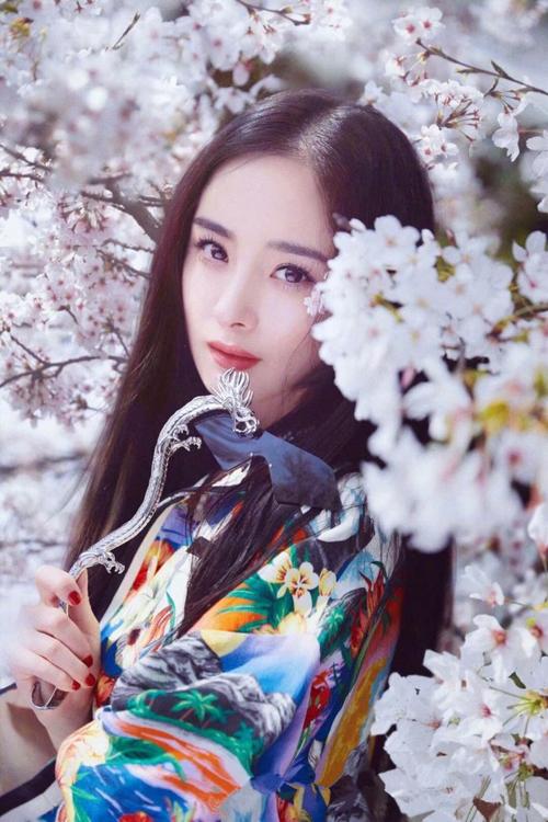 杨幂日本樱花