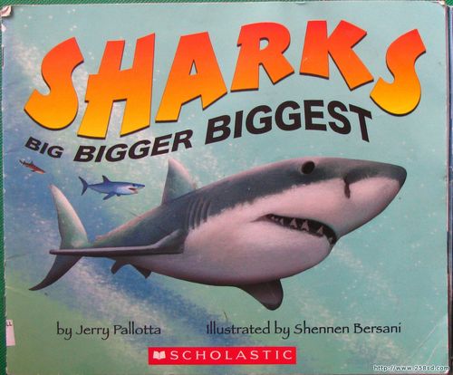 sharks big bigger biggest