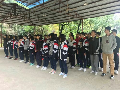 其它 石门中学高二六班～20180106肇庆九龙湖拓展之旅 写美篇 neil来