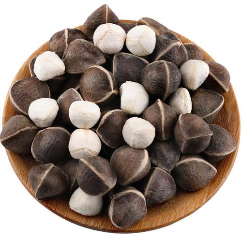 颗粒饱满的高品质印度辣木籽图片