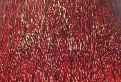 犀牛角紫檀的命名由来