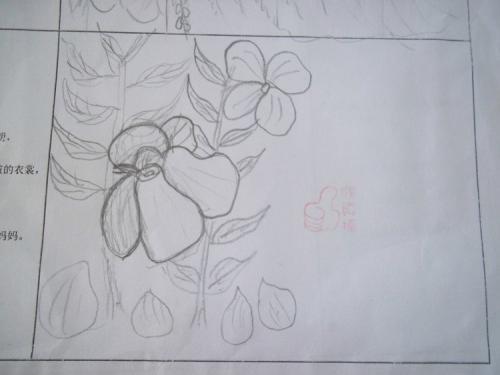 儿童画简笔画凤仙花