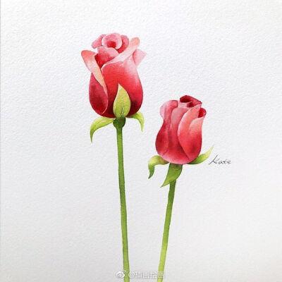 插画师:kate kyehyun park