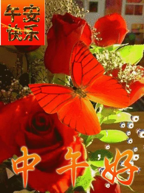 中午微信问候语(中午问候语及关心话语)