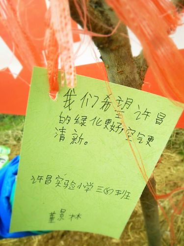2017植树节～我和小树共成长