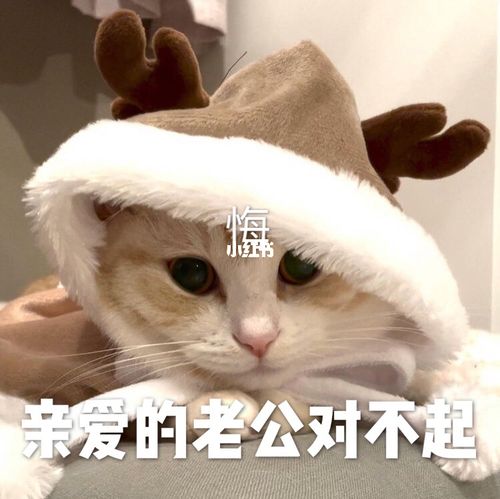 亲爱的老公 对不起 表情包分享_表情包_表情包分享_素材_表情包