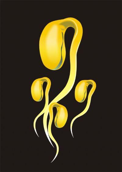 14.豆芽并非越长越好!