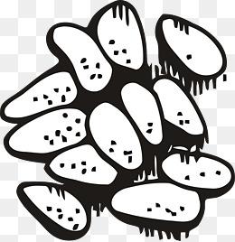 儿童松子简笔画